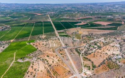 OPORTUNIDADE IMPERDÍVEL! Terreno Misto com Ruína e Amendoeiras em Produção – Silves  #019