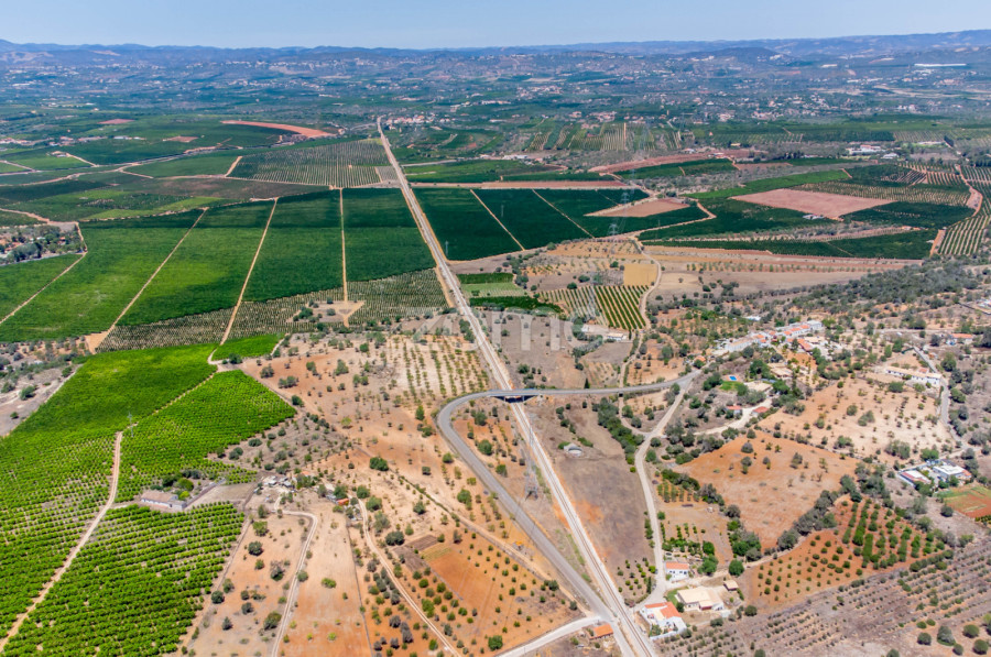 OPORTUNIDADE IMPERDÍVEL! Terreno Misto com Ruína e Amendoeiras em Produção – Silves  #019