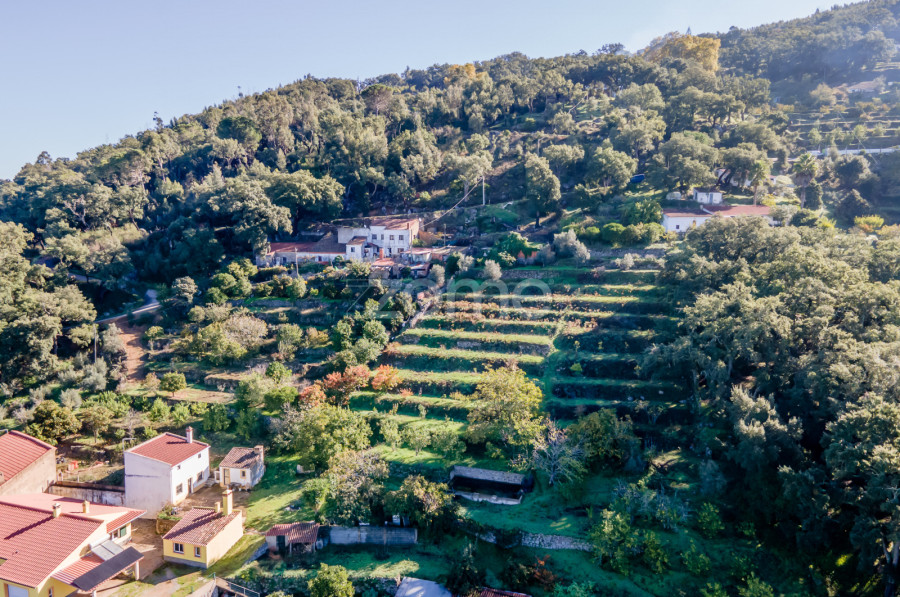 MORADIA T1 COM TERRENO AGRÍCOLA – O TEU REFÚGIO EM MONCHIQUE! #003