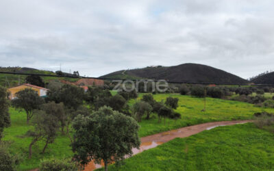 TERRENO RÚSTICO DE 17,75 HECTARES – OPORTUNIDADE ÚNICA NO ALGARVE! #011