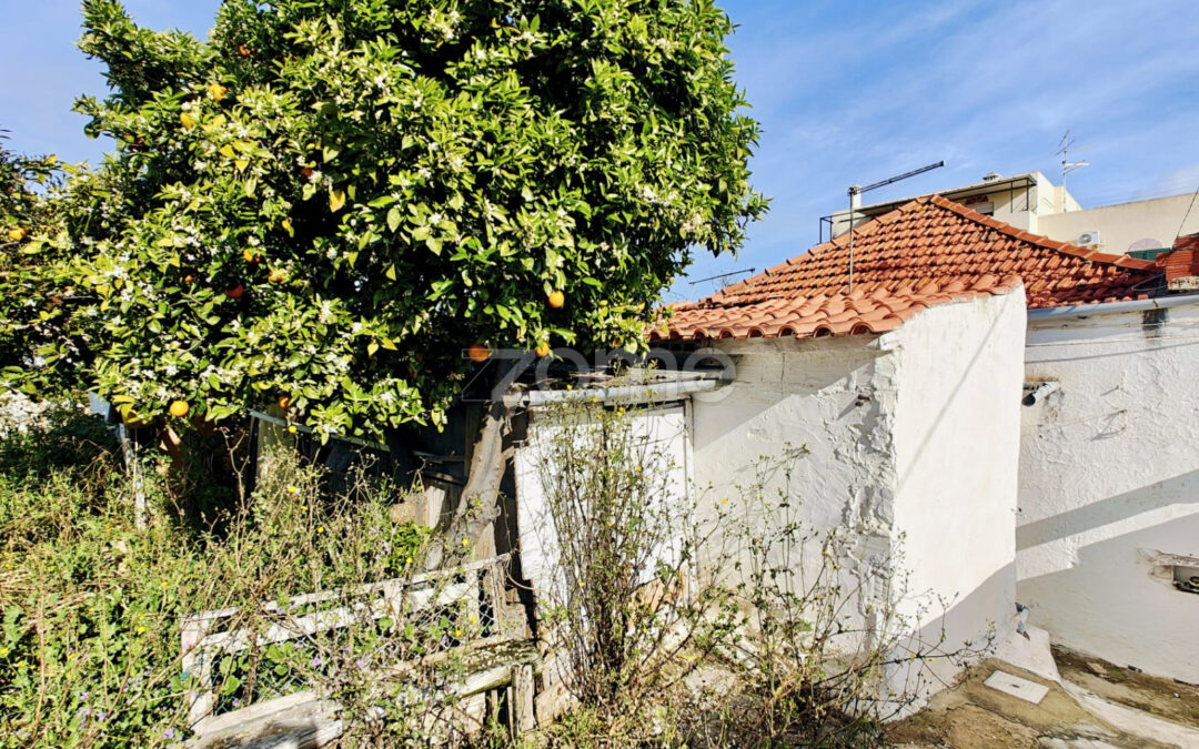 MORADIA TÉRREA COM POTENCIAL DUPLO em Silves! INVESTIMENTO OU HABITAÇÃO!  #025