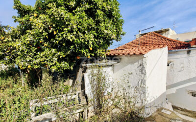 MORADIA TÉRREA COM POTENCIAL DUPLO em Silves! INVESTIMENTO OU HABITAÇÃO!  #025